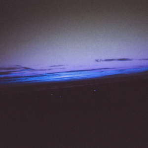 我要看中东国家大鸡巴精品
