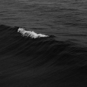 我要看中东国家大鸡巴精品
